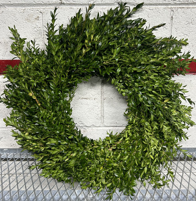 BOXWOOD WREATH - ROUND - 24" (OUTSIDE DIAMETER)