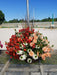 SUN MIXED PATIO PLANTERS - CONTAINER IS 11" (28cm) WIDE AND 9" (23cm) DEEP - Springbank Greenhouses