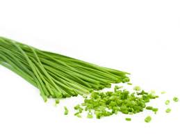 CHIVES - 4" - Springbank Greenhouses