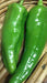 PEPPER - GREEN CHILI - 4 plants per box - Springbank Greenhouses