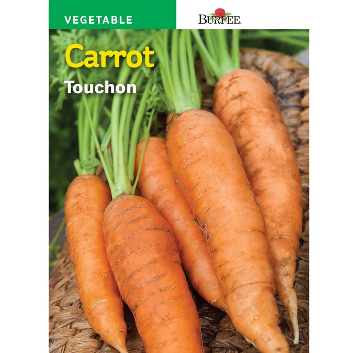 SEED - CARROT TOUCHON