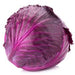 CABBAGE - RED - 4 plants per box - Springbank Greenhouses