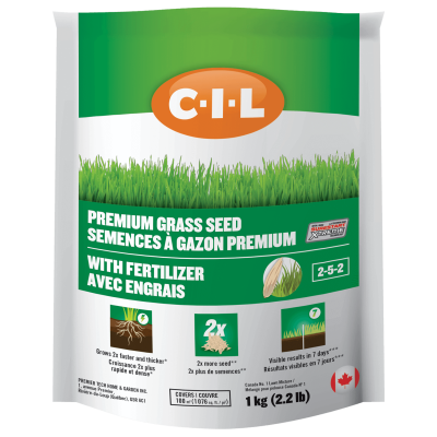 GRASS SEED WITH FERTILIZER - SUN AND SHADE - 1KG