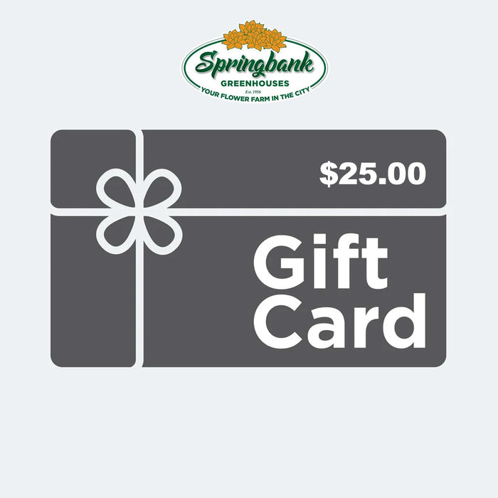 Gift Card - Springbank Greenhouses