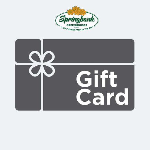 Gift Card - Springbank Greenhouses